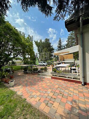 Nefelejcs, Zamárdi képe