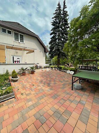 Nefelejcs, Zamárdi 2. képe