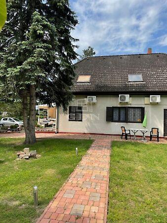 Nefelejcs, Zamárdi 3. képe