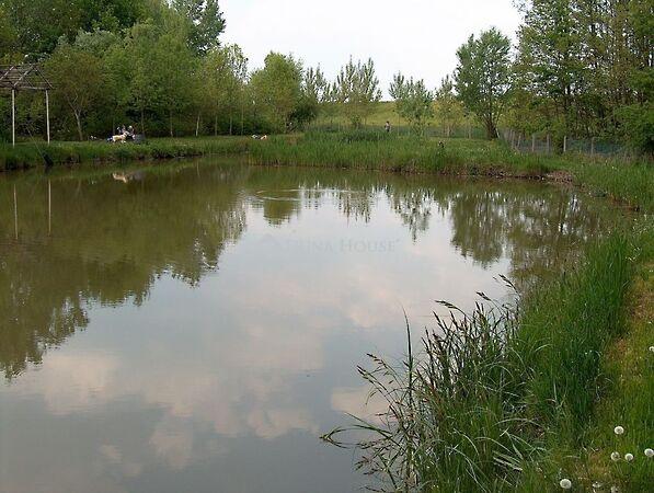 Garay, Gyula 3. képe