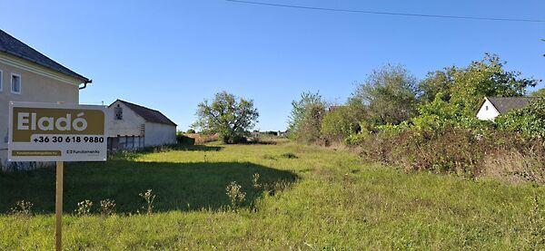 Kossuth Lajos, Püspökmolnári képe