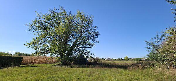 Kossuth Lajos, Püspökmolnári 2. képe