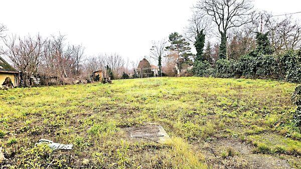 Tárnok -, Tárnok 2. képe