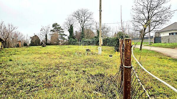 Tárnok -, Tárnok 3. képe