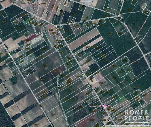 Ásotthalom 2. képe