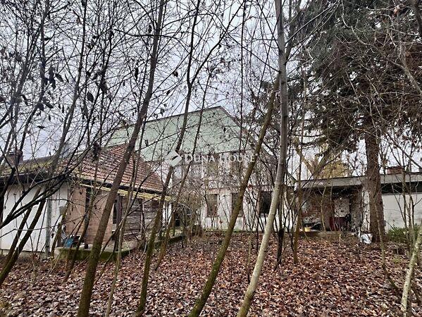 Virág, Doboz 3. képe