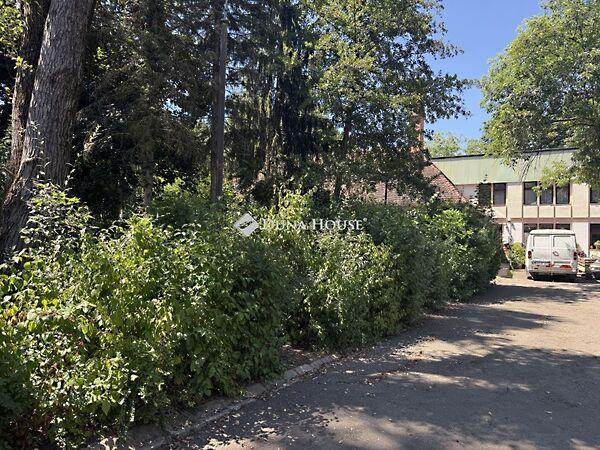 Virág, Doboz 2. képe