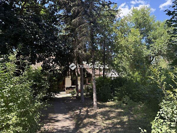 Virág, Doboz 3. képe