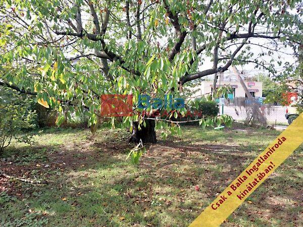 Zrínyi, Budapest, XVII. kerület 3. képe