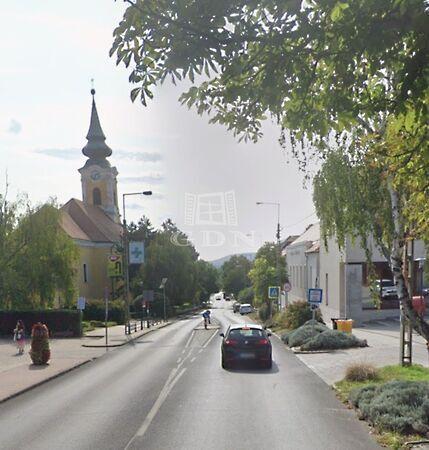 Fő, Budakeszi 3. képe