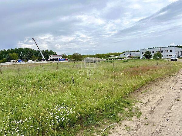 Dinamikusan fejlődő, Felsőpakony 3. képe