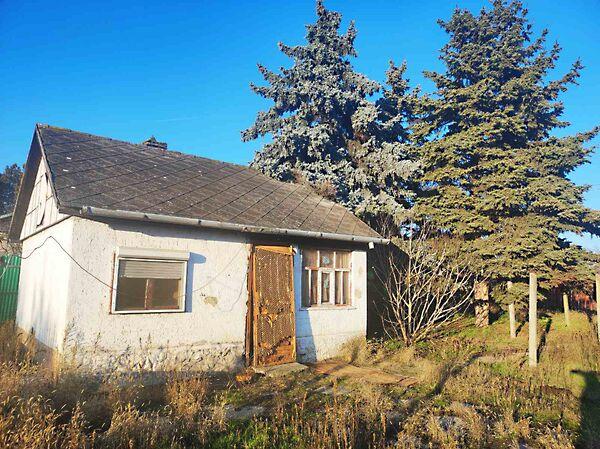 Kígyós, Baracs képe