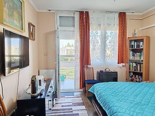 Nyuszi, Budapest, XXI. kerület 2. képe