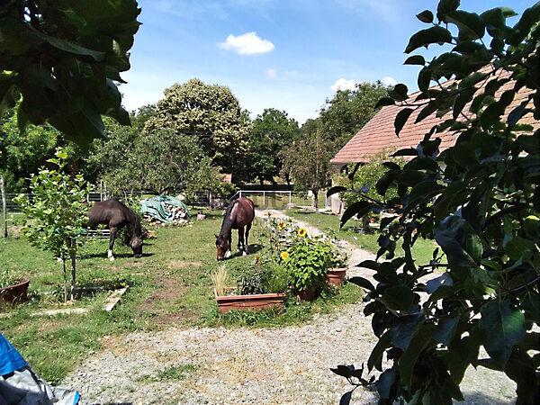 Somogyhárságy képe