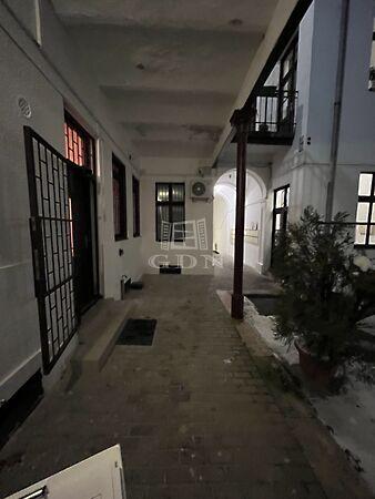 Víziváros, medve, Budapest, II. kerület 3. képe