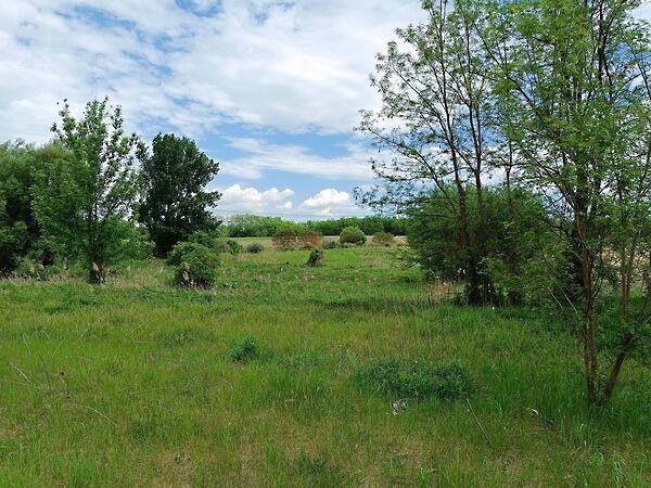 Őrbottyán 3. képe