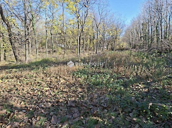 Budapest, XVII. kerület képe