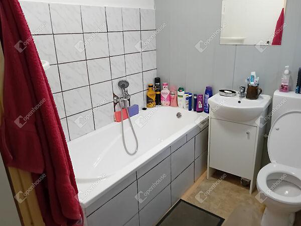 Ady Endre, Vértesszőlős 2. képe