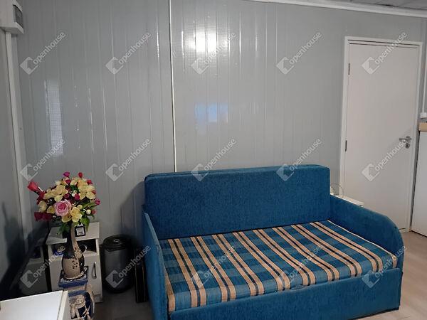 Ady Endre, Vértesszőlős 3. képe