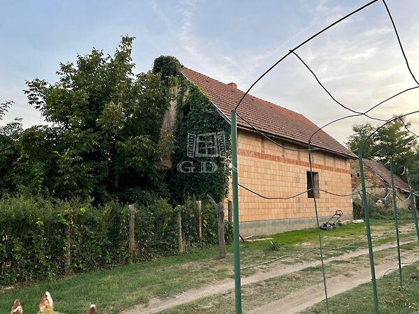 Rákóczi Ferenc, Sávoly 2. képe