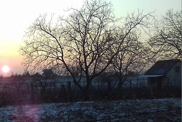 Judit Ingatlan és, Monor 2. képe