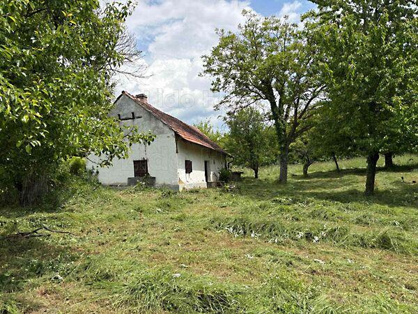 Somogyzsitfa 2. képe