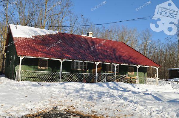 Nyárlőrinc 3. képe