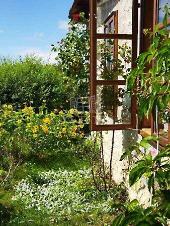 Erdőszéli, csendes, Nagyvázsony 3. képe