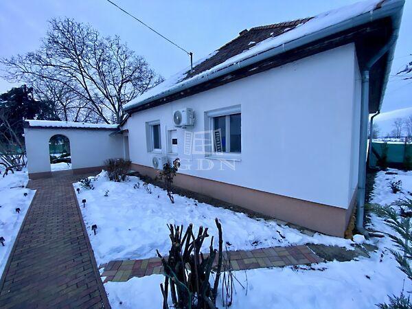 Vasvári Pál, Ráckeve képe