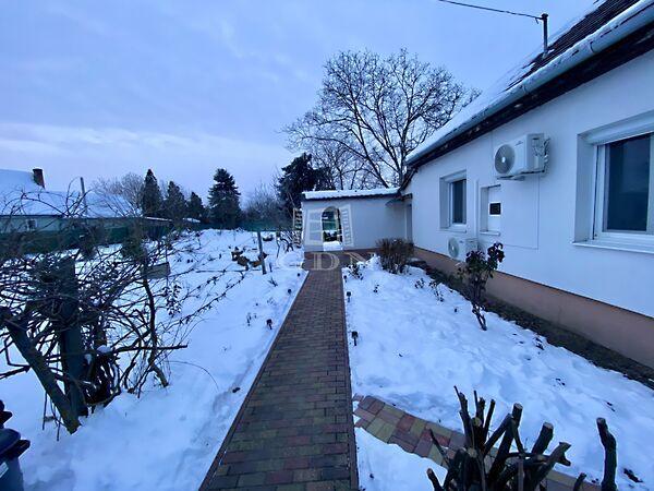 Vasvári Pál, Ráckeve 3. képe