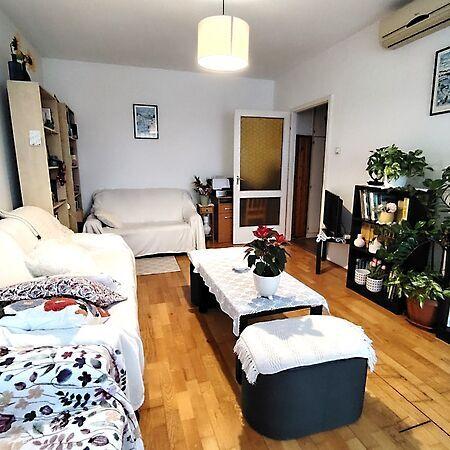 Zrínyi, Budapest, XXI. kerület 2. képe