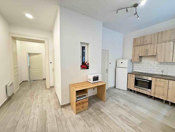 Nefelejcs, Budapest, VII. kerület 2. képe