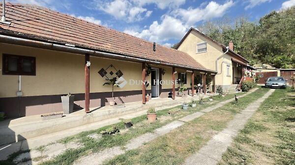 Kossuth, Egerszalók képe