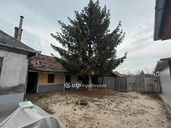 Csokonai, Jászfényszaru 3. képe