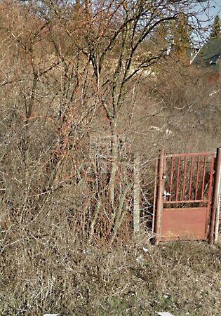 panorámás, Budapest, III. kerület 3. képe