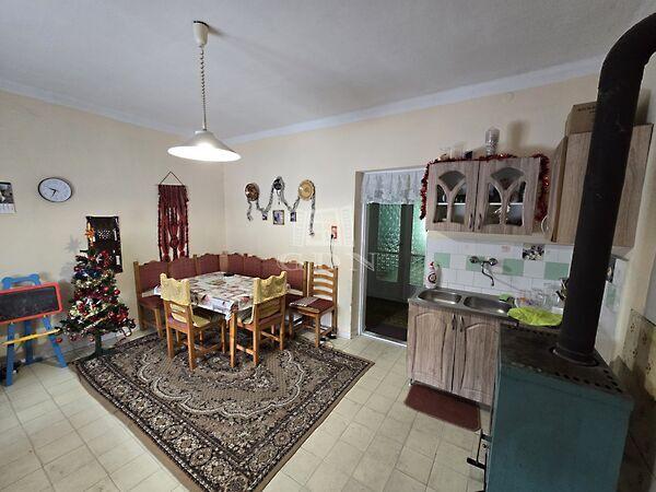 Táncsics Mihály, Borota képe