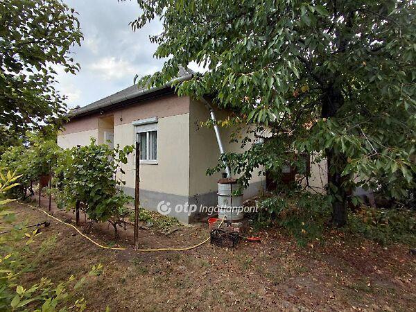 Rákóczi, Csány 3. képe