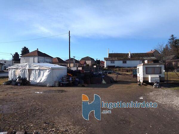 Rákóczi, Kartal képe