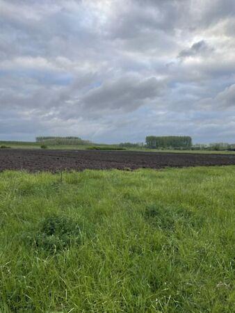 Nyíregyháza 2. képe