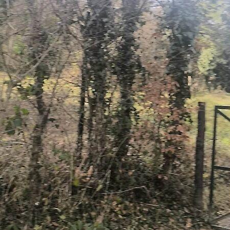 Új-Hermes, Sopron 3. képe