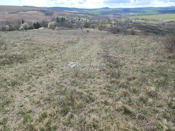 Cseri szőlők, Úny 2. képe