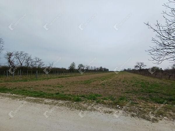 Fertőszentmiklós 2. képe