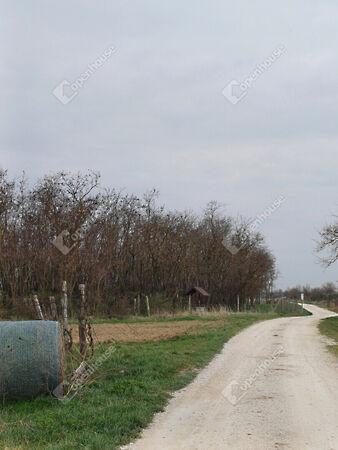 Fertőszentmiklós 3. képe