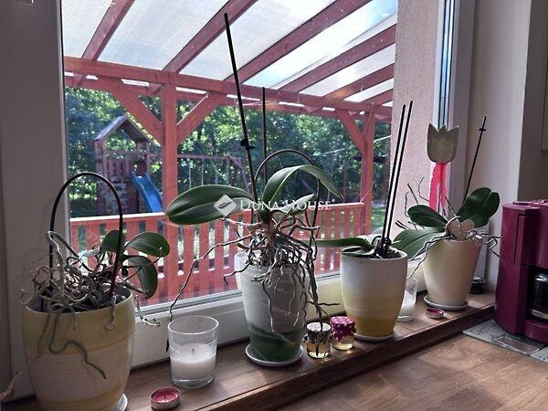 Erdőkertes 3. képe