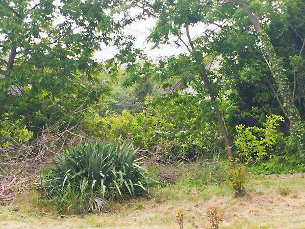 Veresegyház 2. képe