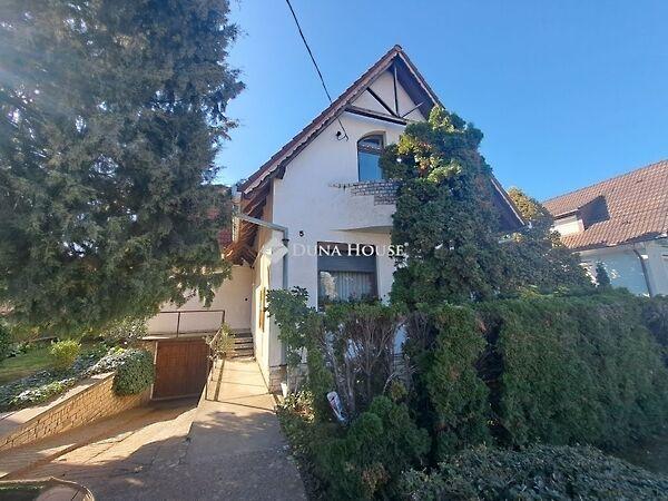 Kossuth Lajos, Bóly képe