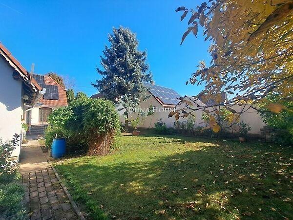 Kossuth Lajos, Bóly 2. képe