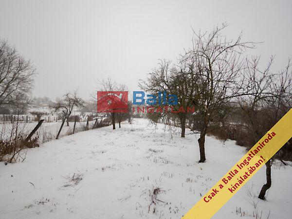 Kossuth, Nézsa 3. képe