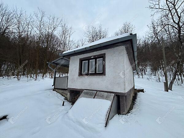 Kossuth, Páka képe