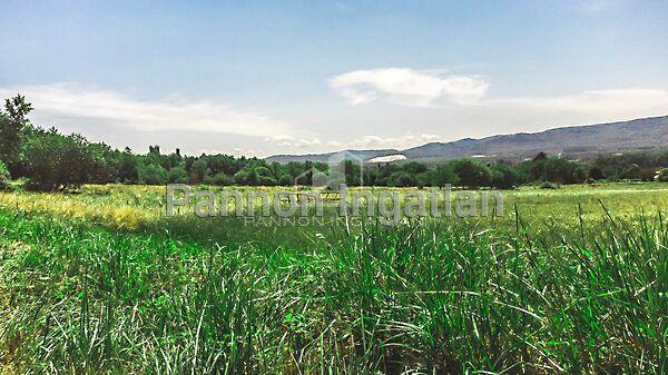 nincs, Várvölgy képe